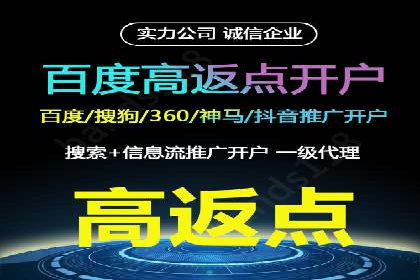 热门信息流广告投放公司案例分析